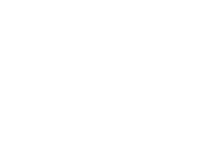 Fidelity